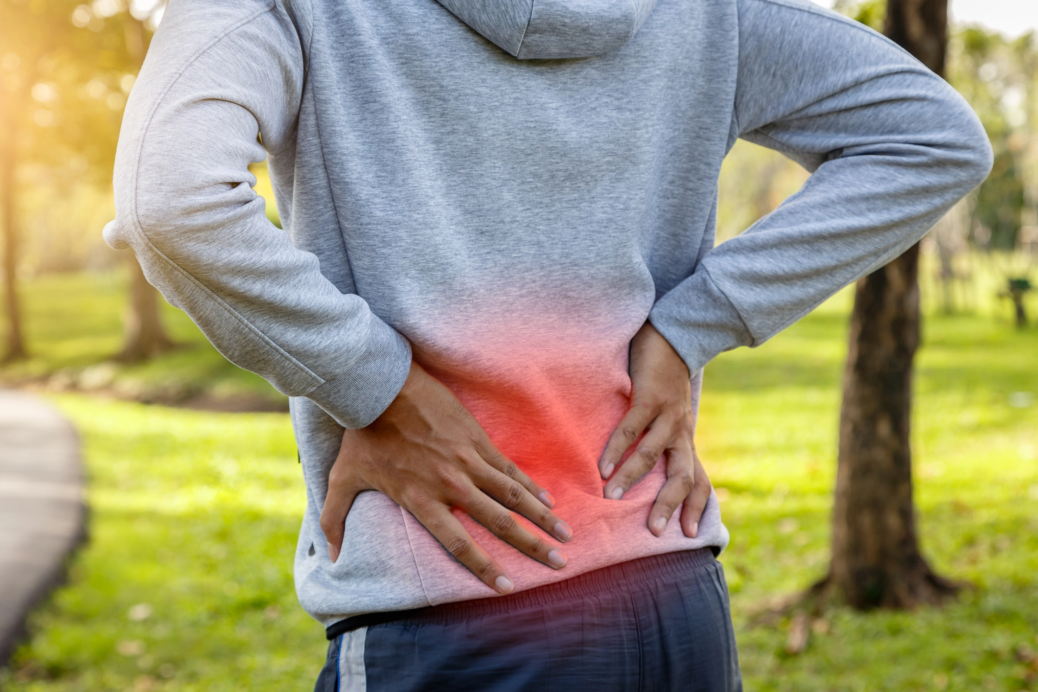 Physical therapist treating low back pain," "Modalities for muscle strain treatment," and "Facet joint pain exercises"
